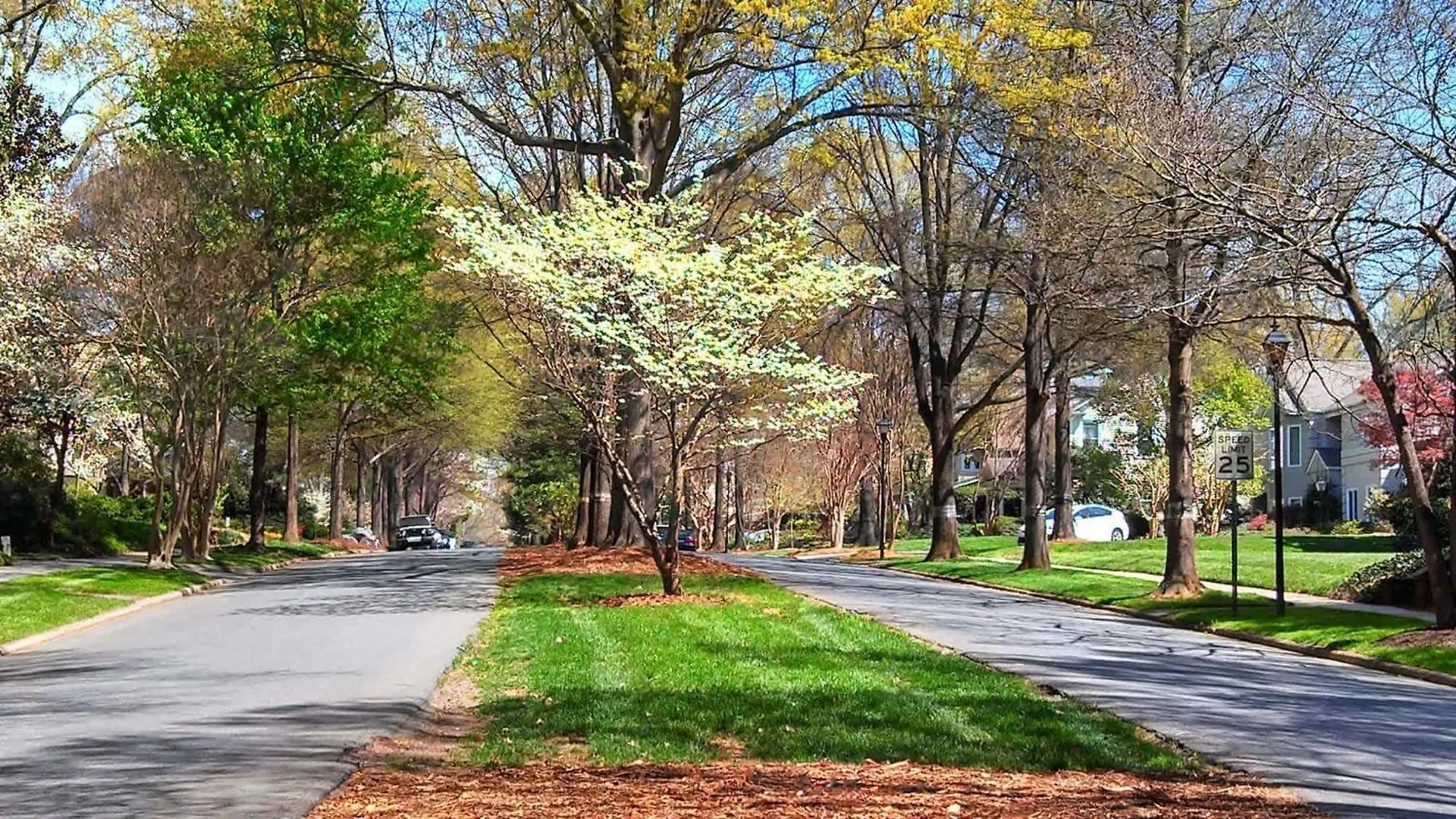 Spacious Condo With Easy Access To Uptown Charlotte Stany Zjednoczone Ameryki